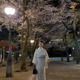 京都　祇園の桜の画像
