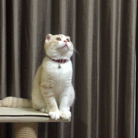 ん〜？！の画像