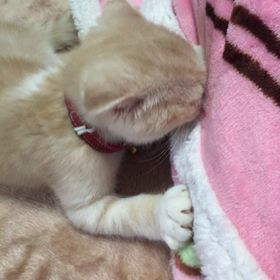 2016/05/09の画像