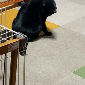 散歩は冒険の画像