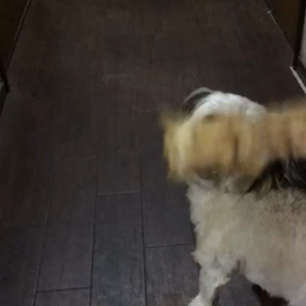 18日目の画像