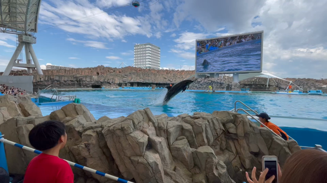 名古屋港水族館の記事動画