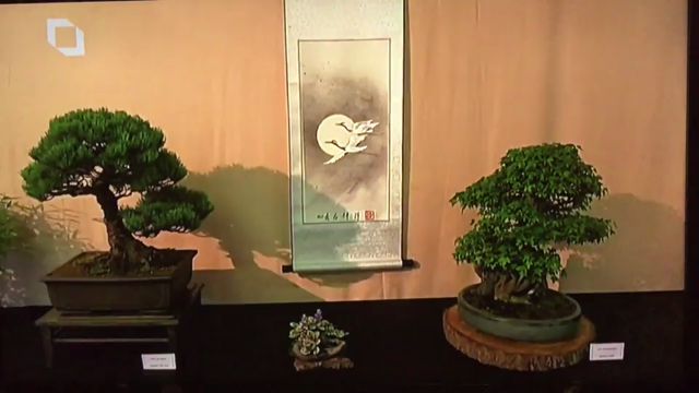 ロンドンのニュースに出演！の記事動画