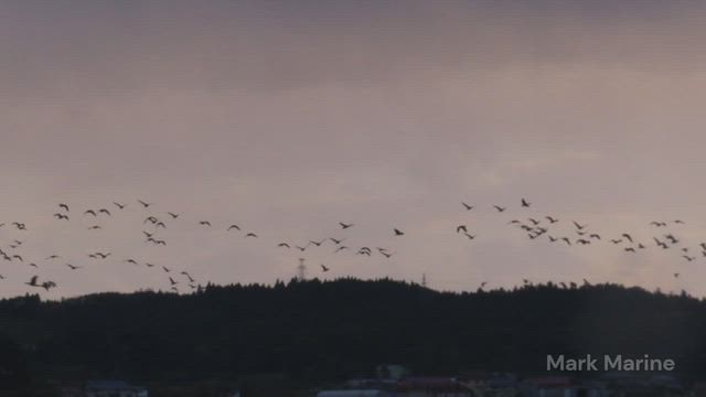 ダムへGO！【１日目】栗駒ダム：荒砥沢ダムの記事動画