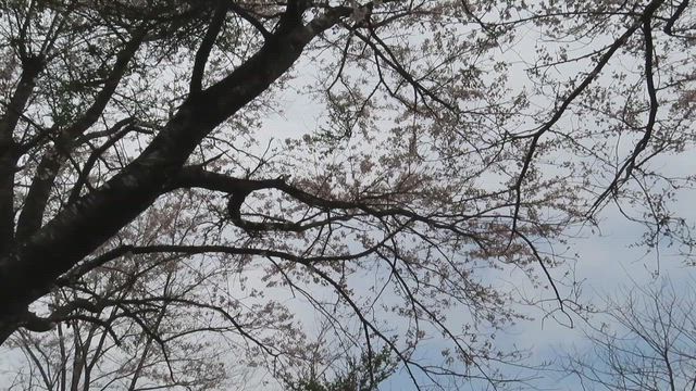 加美町へGO‼の記事動画