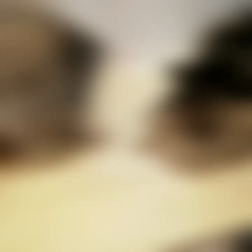 猫まみれになりました( ☆∀☆)の画像