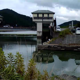 こ  の河すごいの画像