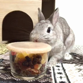 フルーツ大好きー❤︎の画像