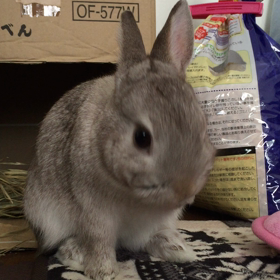 身だしなみととのえます！の画像