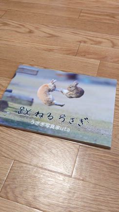 実は・・・カバーの中にもお楽しみが！の記事動画