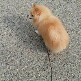 おはようございますの画像