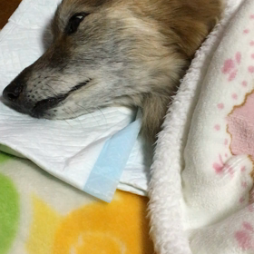 現在のの画像