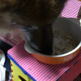 おはようございますの画像