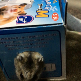 大丈夫かな(^^;;の画像