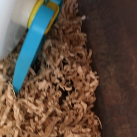 ちびはむムービーの画像