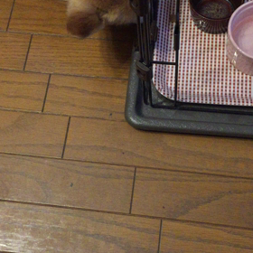 入口はあちらの画像