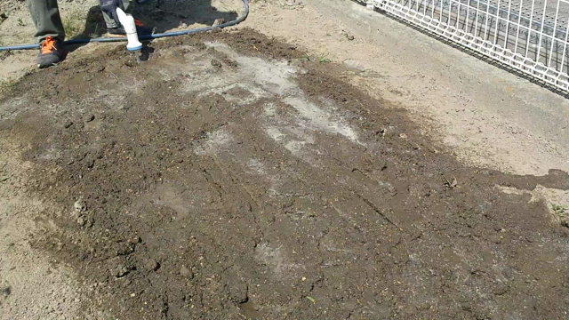 猛暑を使って土壌熱消毒（ネコブセンチュウ対策）の記事動画