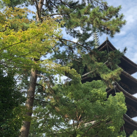 鳴き声の画像