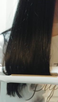 １年で１番大好きな日でした。の記事動画