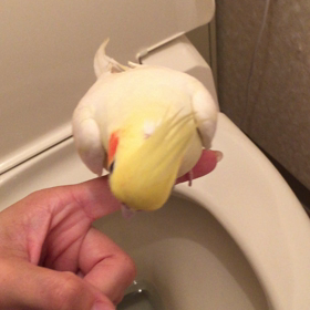 いい子♡の画像