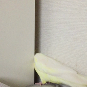 隙間LOVE♡の画像