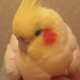 今年最後の  指まくら♡の画像