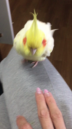 こだわりの記事動画