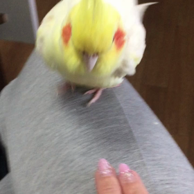 こだわりの画像