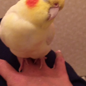 １分後には…チーンの画像