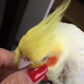 カキカキからの〜髪飾り♪の画像