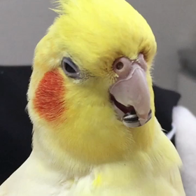 週末‼︎の画像