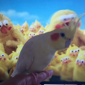 夏の出来事の画像