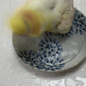 サイズ感の画像