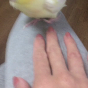 ３回チャレンジでベスポジ！の画像