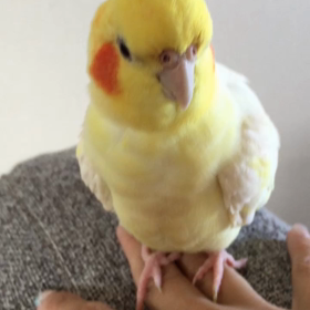 マシュマロ君の “さわさわ” に萌える♡の画像