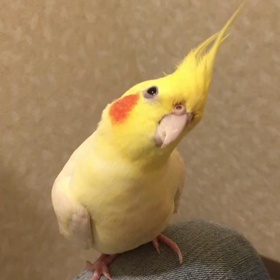 気になる…の画像