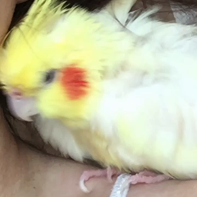 久々‼︎の画像