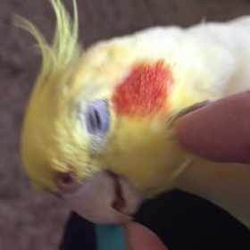 イチャイチャ♡の画像