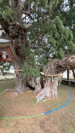 小豆島へ行って来た ⑦宝生院の記事動画