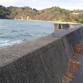 大晦日の画像