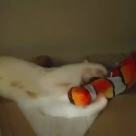 ご報告(￣▽￣)②の画像