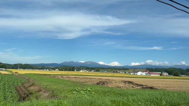 えめくんに会いにの記事動画