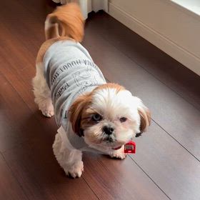 今朝のにえちゃんと、感謝のサムネイル画像
