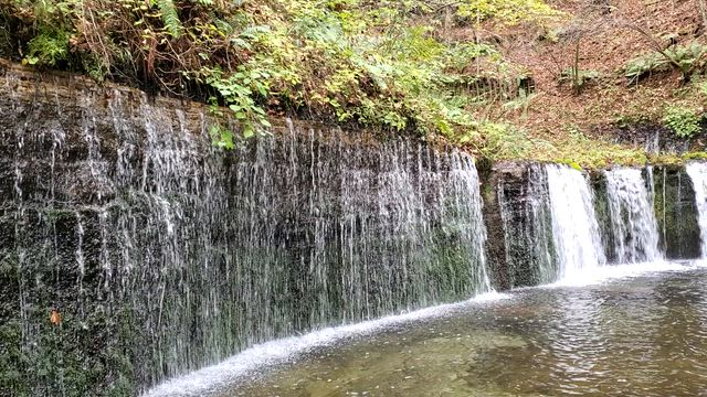 ご都合よろしければぜひ～ありがとうございます～の記事動画