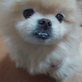 2025/02/05の画像
