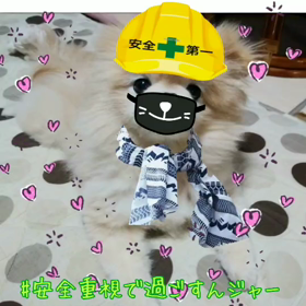 安全重視で過ごしますの画像
