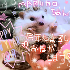 みなさま(`･ω･´)ｼｬｷｰﾝ♡‼️の画像