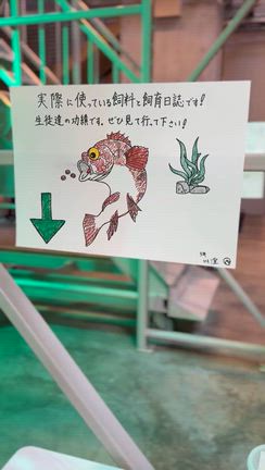 ウオ祭 〜UOSAIの記事動画