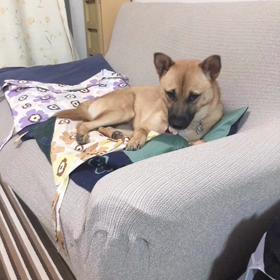 おしごと。の画像