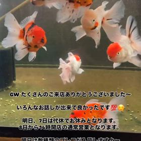 2025/05/06の画像